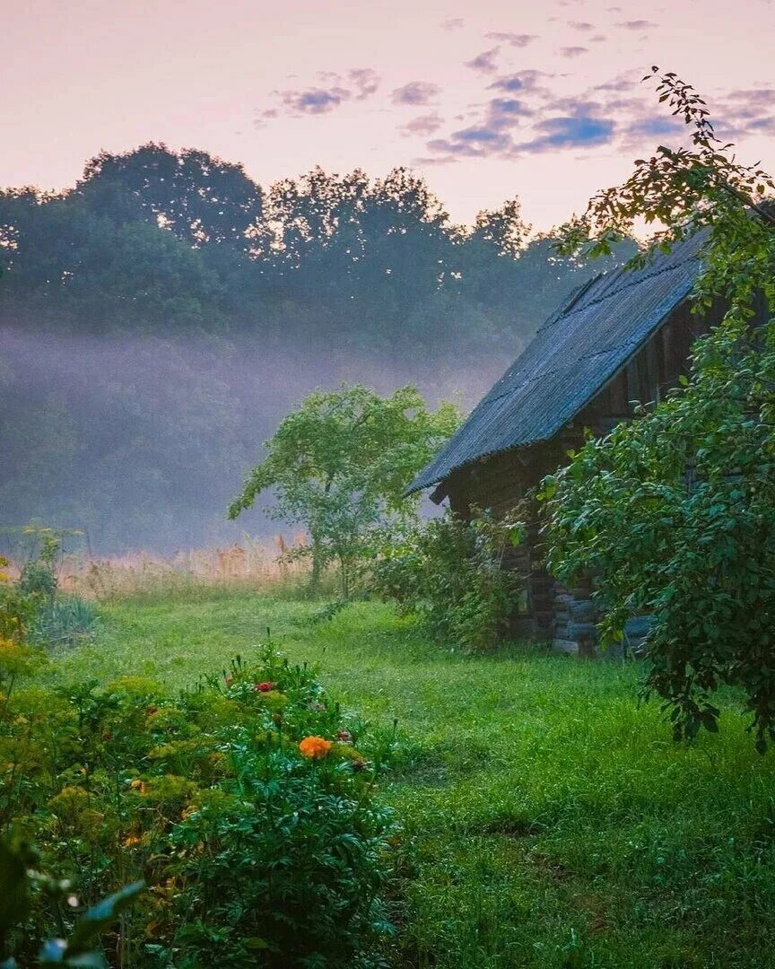 Деревенские картинки. Утренний пейзаж деревня Герасимов. Природа деревня. Лето в деревне. Пейзаж деревни.