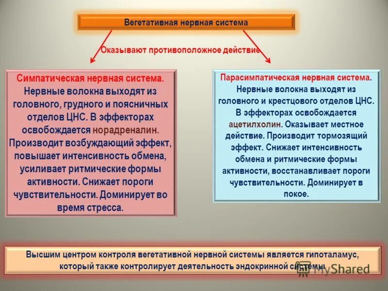доминирование мужчины над женщиной. властная женщина. женщина доминант. красивые властные женщины. мужчина тряпка.