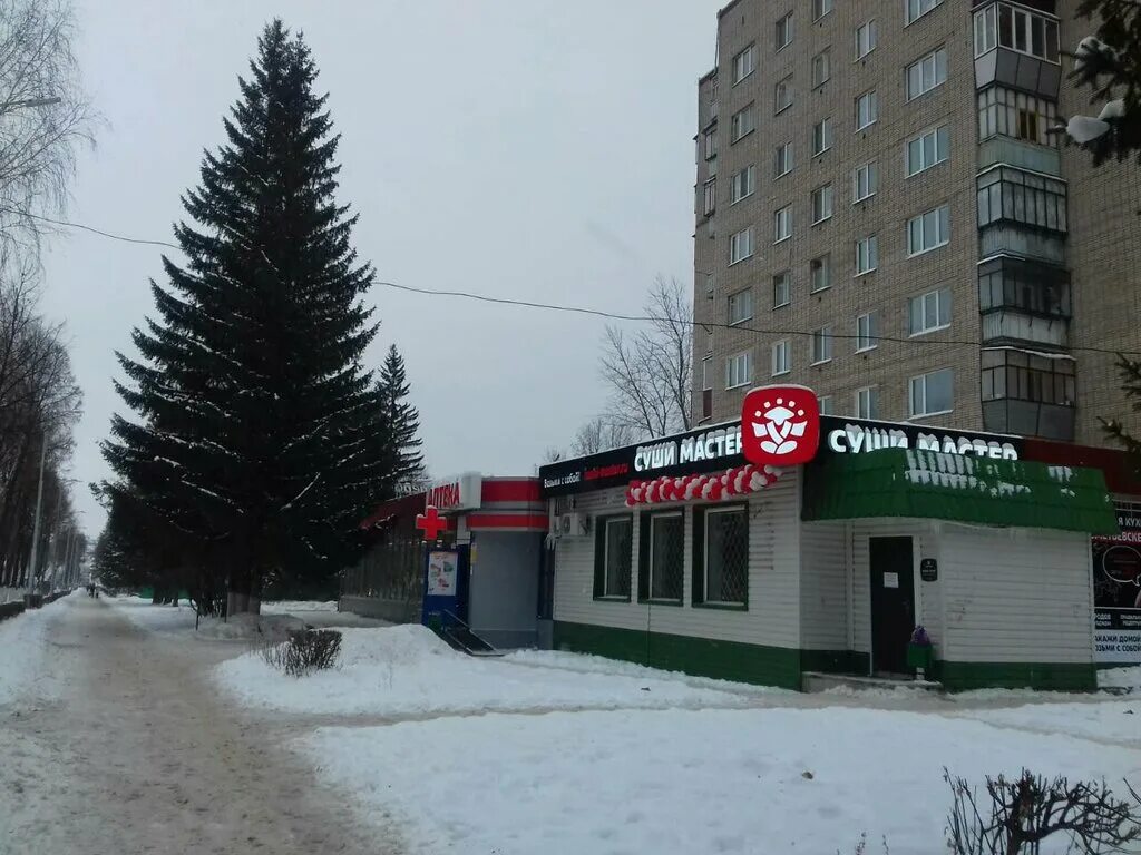 Мастер альметьевск. Альметьевск, ул. ленина, 101. суши мастер альметьевск. альметьевск улица ленина 101. ленина 101 коломна.