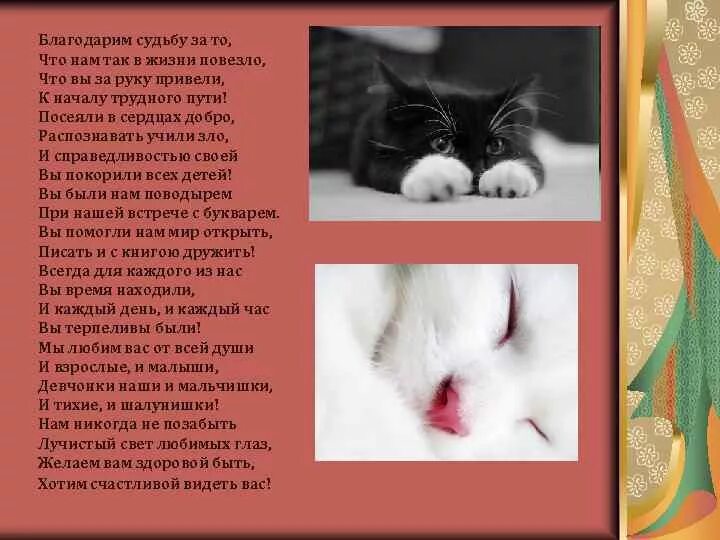Благодарим судьбу за то. Благодарим судьбу за то что нам так в жизни повезло.