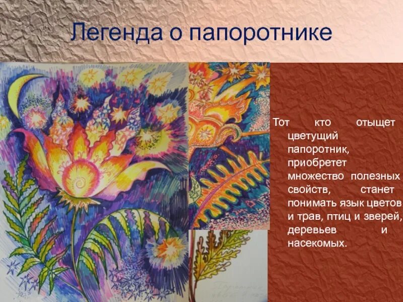 Папоротник мифы и легенды. Цветение папоротника легенда. О цветах папоротнике легенда. Предание о папоротнике. Цветение папоротника легенда.