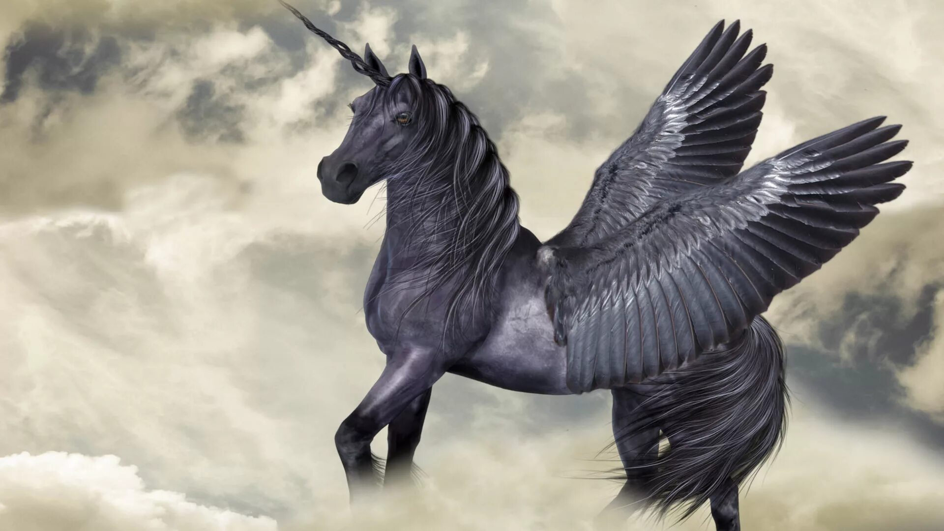 Лошади единороги пегасы. Конь с крыльями как называется. Крылатый конь пегас. Пегас лошадь. Конь с крыльями как называется.