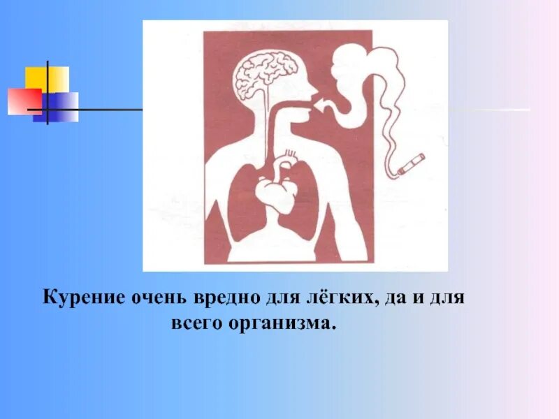 Очень токсичен. Курящего человека схема. Вредные привычки человека курение. Курение_ очень опасная привычка!.