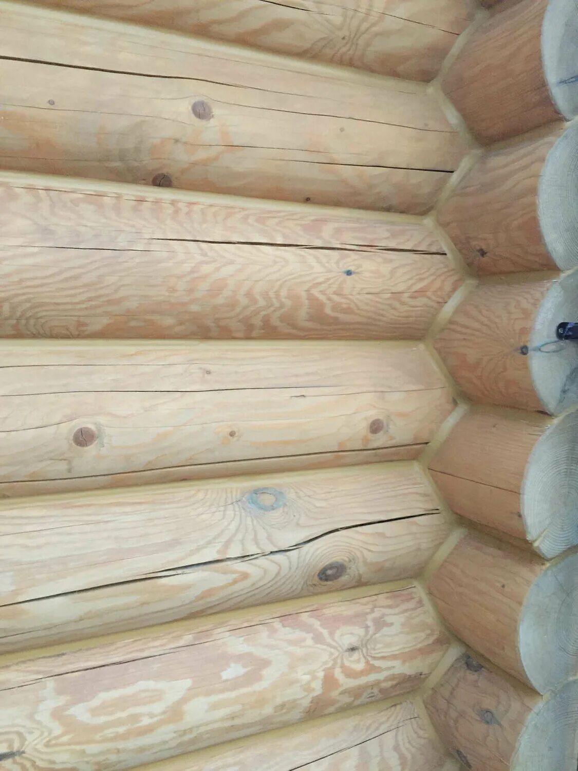 теплый сруб. теплый шов remmers. теплый сруб. теплый шов оцилиндрованного бревна. теплый шов на конопатку.