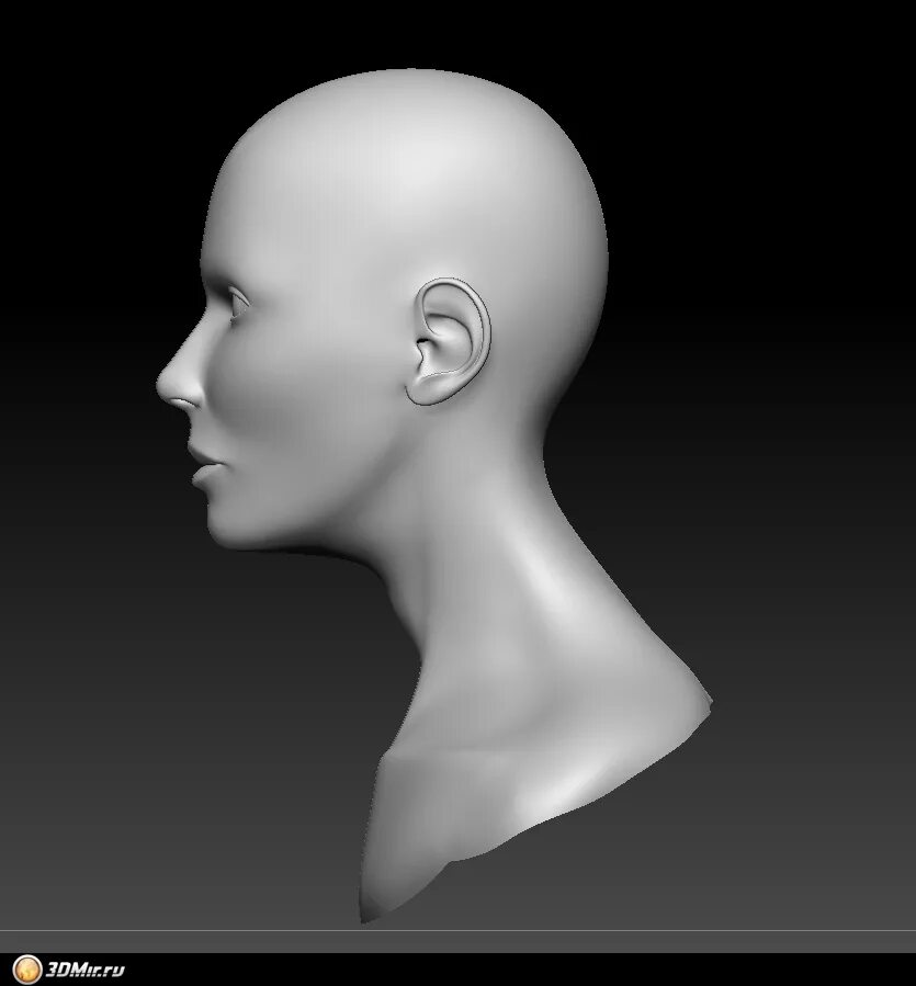 Головы куда использовать. Схема головы для стрижки. Схема распределения волос при наращивании. Затылок темечко макушка. Головная боль в висках.