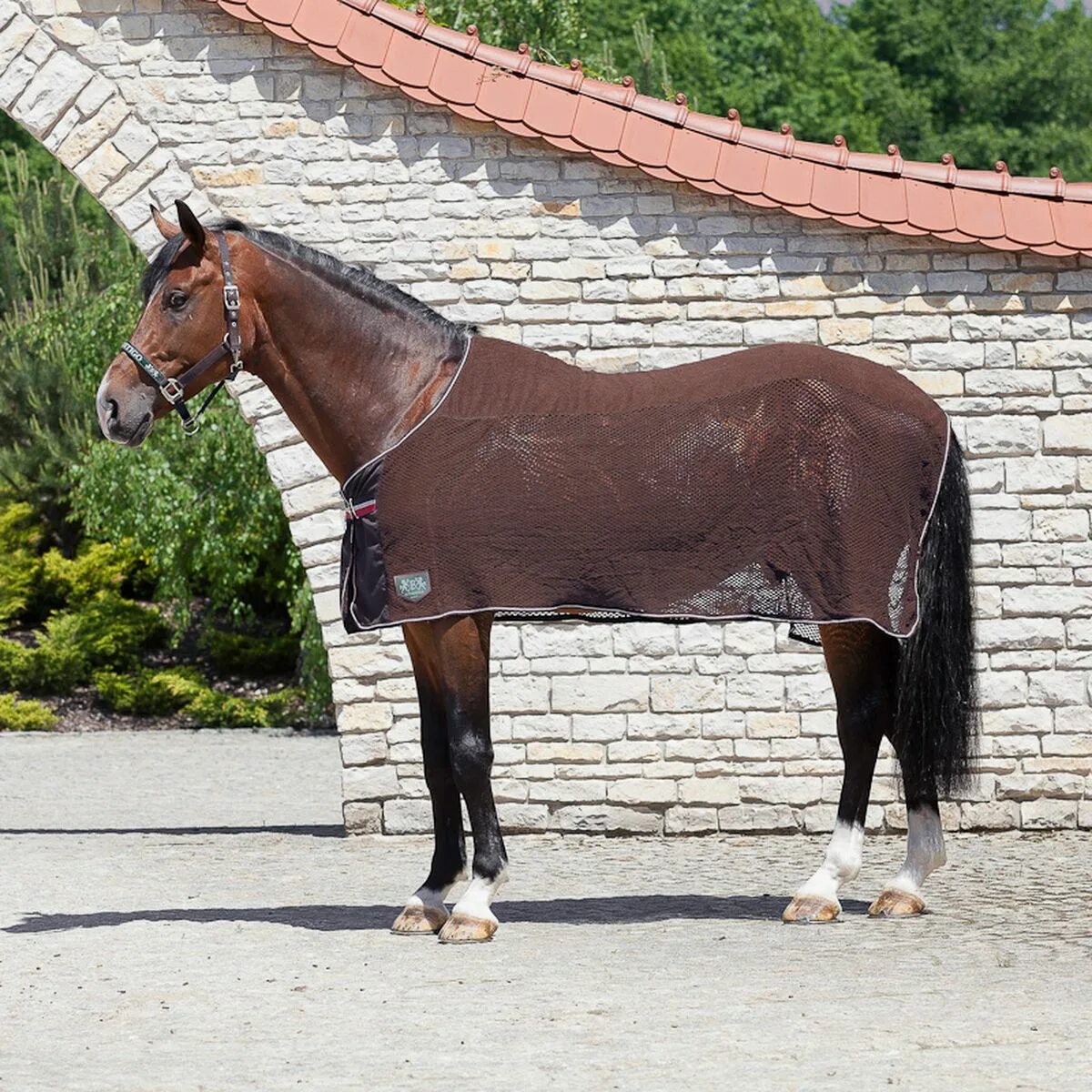 Магазины horse. Продукция лошадей. Магазин для лошадей. Конный магазин Грозный. Кони мода конный магазин СПБ.