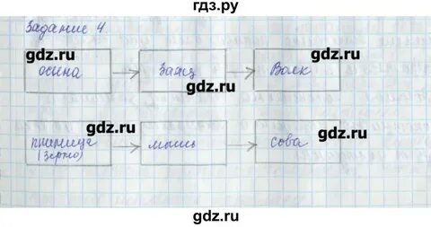 Окружающий мир 3 класс страница 67 тетрадь