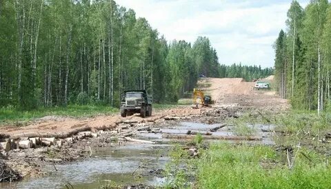 Строительство дорог болотах