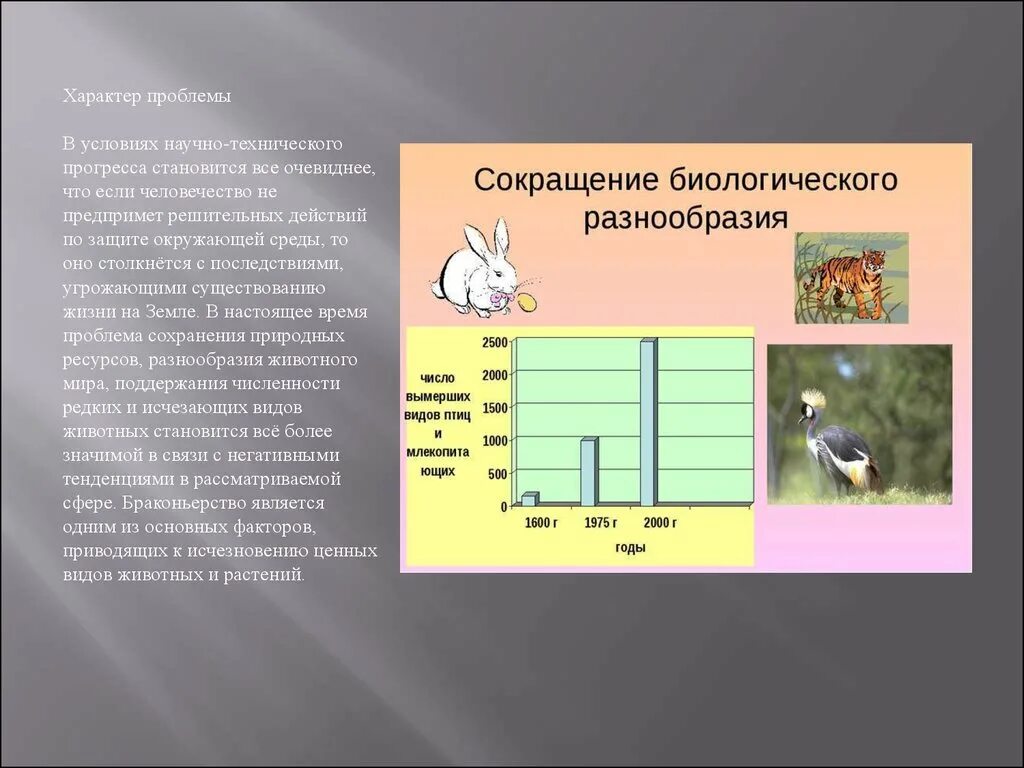 Проблема видового разнообразия. Сокращение видового разнообразия. Сокращение биологического разнообразия. Сокращение биологического разнообразия последствия. Уменьшение биологического разнообразия последствия.