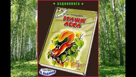 Лесная 49 отзывы