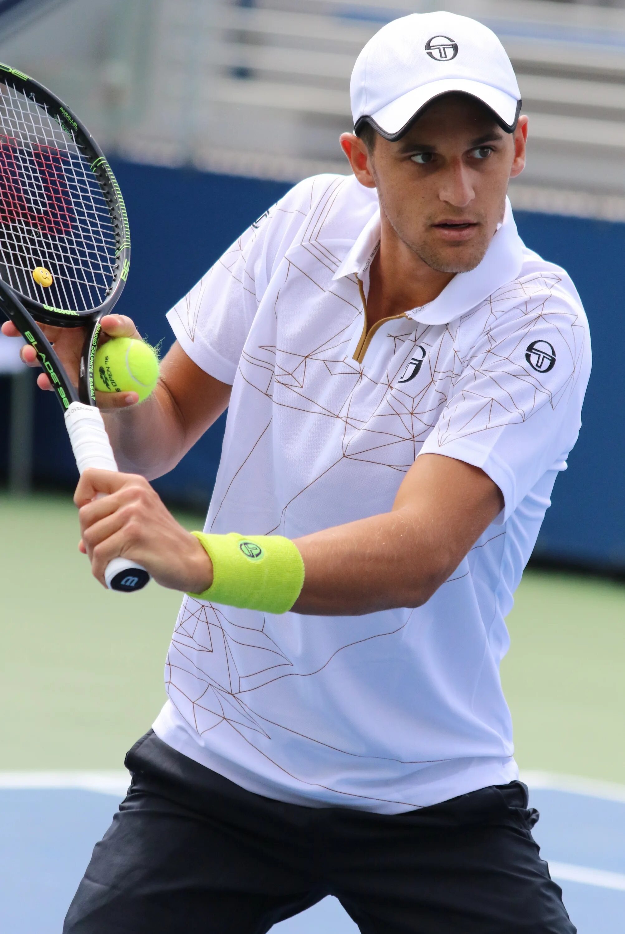 Аревало павич болели вавасори. Pavic tennis. мате павич. павич теннисист с бородой.