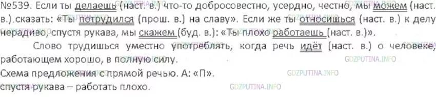 Упр 539 6 класс рыбченкова. 539 По русскому языку 6 класс. Русский 6 класс упр 539. Русский язык 6 класс ладыженская упр 539.