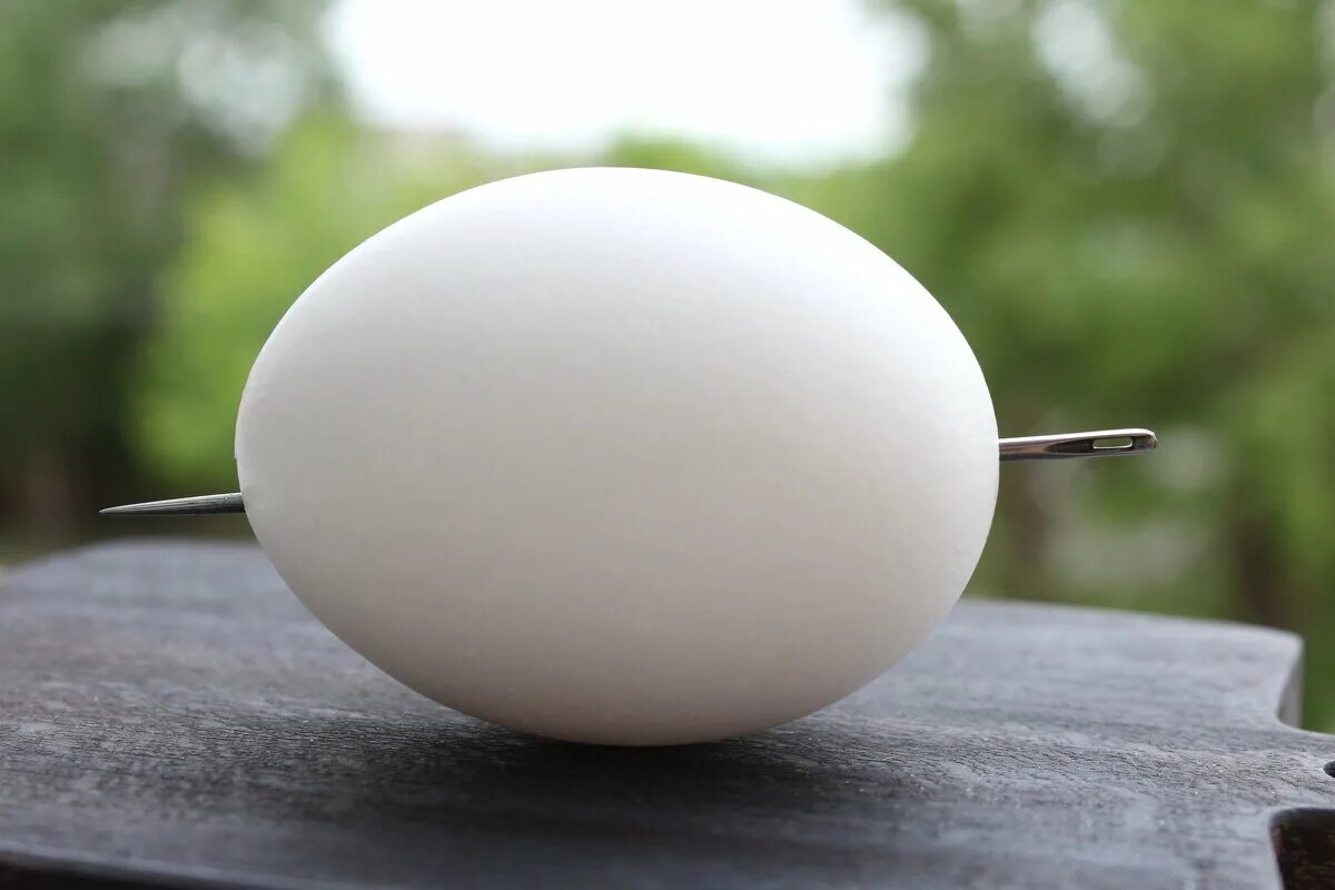 золотые пасхальные яйца. кощеево яйцо. кощей бессмертный смерть в яйце. яйцо с иглой кощея. кощеево яйцо.