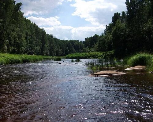 ПЕТЛЯ РЕКИ ПОЛЫ