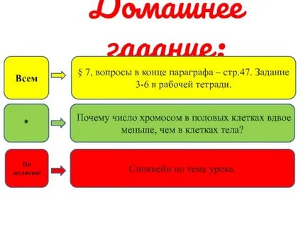 Конец параграфа