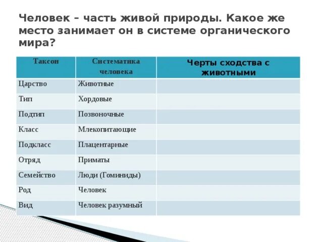 Таксоны животных позвоночные. Систематика таксонов человека. Систематика человека таблица.