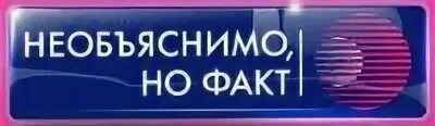 Но факт