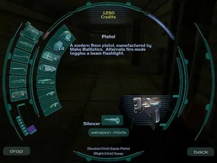 Invisible item