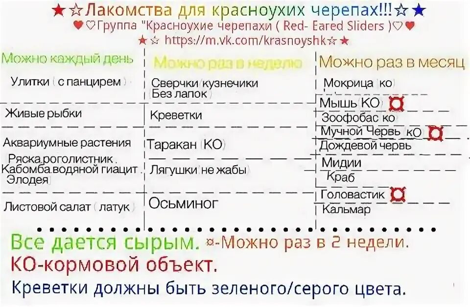 Чем можно кормить красноухую