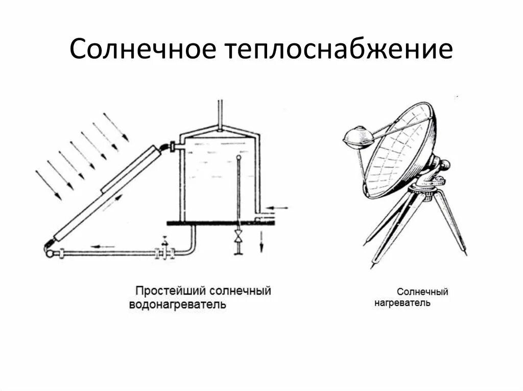 Простейшие солнечные. Простейшие солнечные