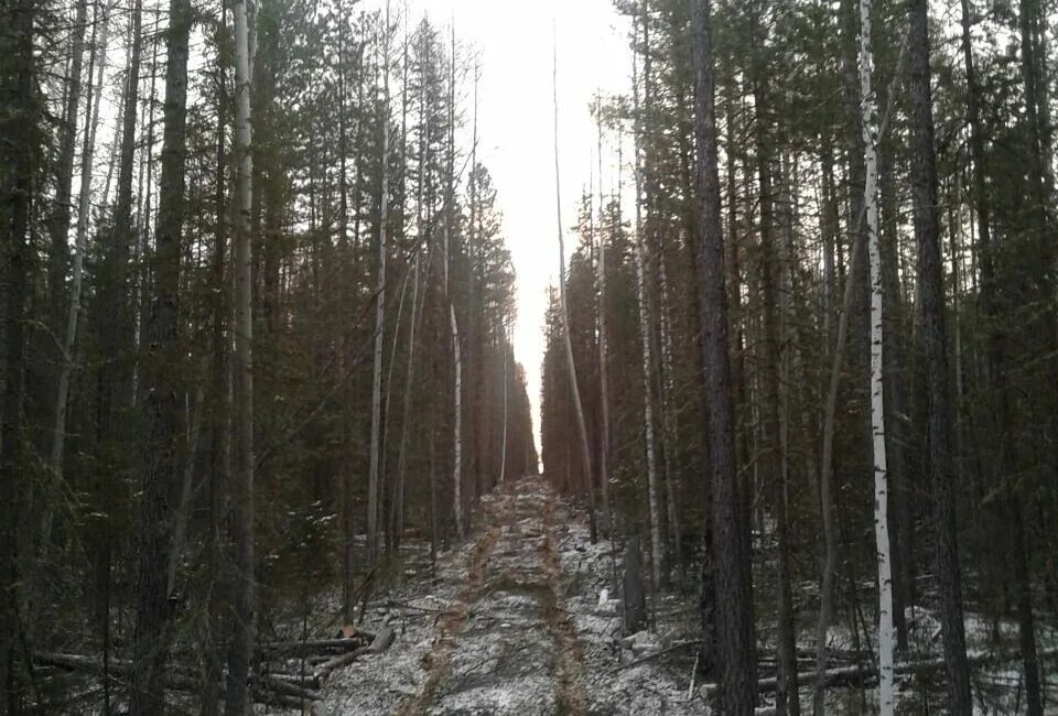 охрана сфера хмао. росгвардия ханты-мансийск. охрана сфера хмао. ул светлая ханты-мансийск. природнадзор хмао-югры.