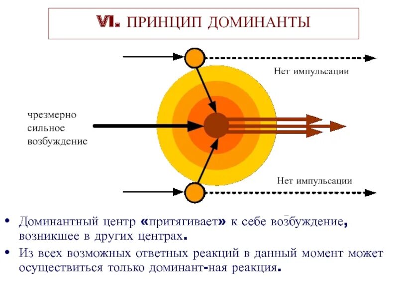 Принцип Доминанты. Принцип Доминанты по Ухтомскому. Ухтомский а.а. "Доминанта". Учение Ухтомского о доминанте кратко. Роль доминанты