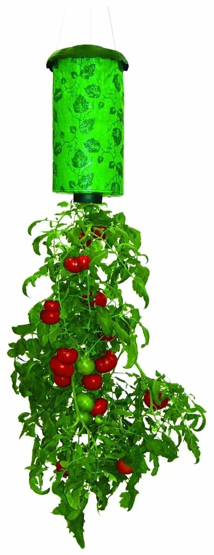 Растение корнями вверх. Topsy turvy tomato planter. помидоры вверх тормашками. посадка помидор вверх тормашками. помидоры вверх тормашками в бутылке.