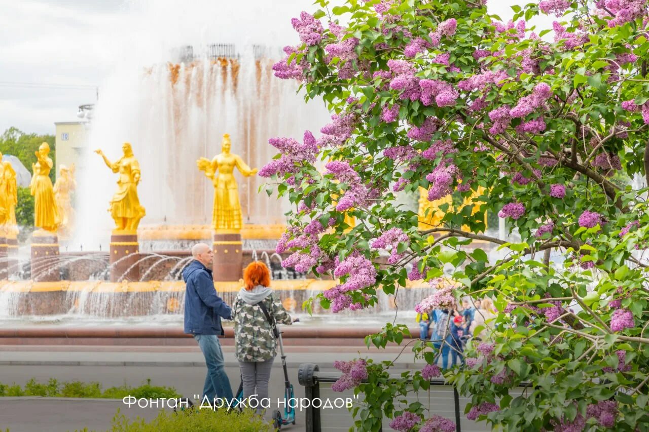 Пространство вднх. Пространство вднх