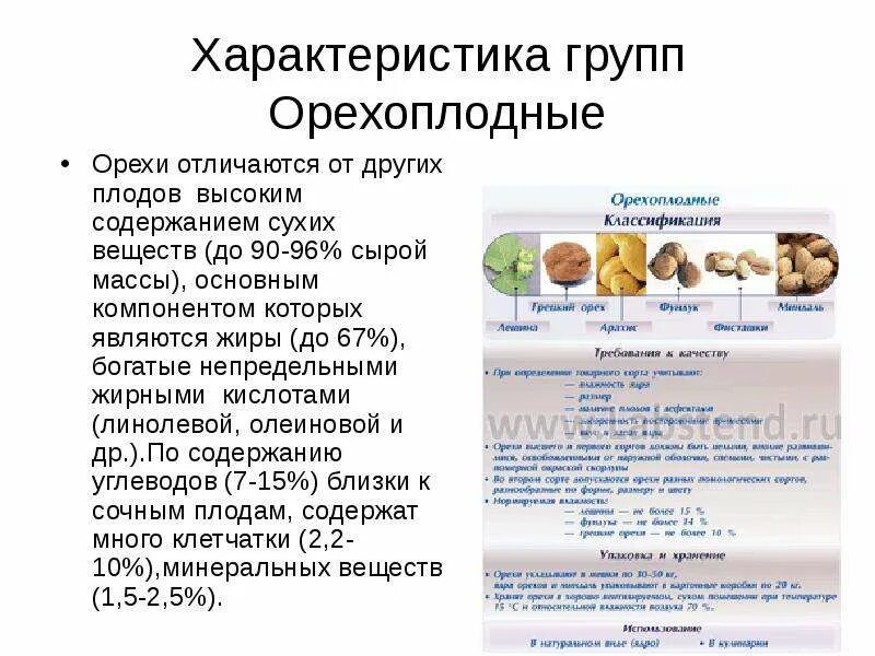 Орехоплодные классификация. Характеристика орехоплодных. Орехоплодные плоды классификация. Химический состав орехоплодных. Т группа характеристики