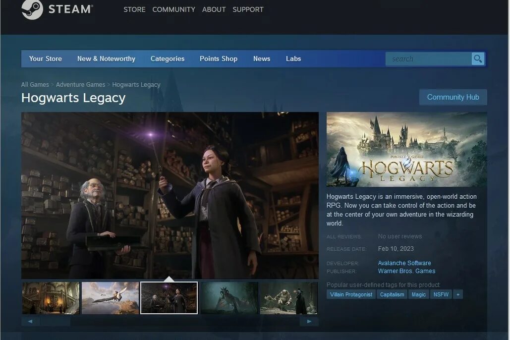 Hogwarts legacy editor. Hogwarts legacy стим. редактор в hogwarts legacy. hogwarts legacy логотип.
