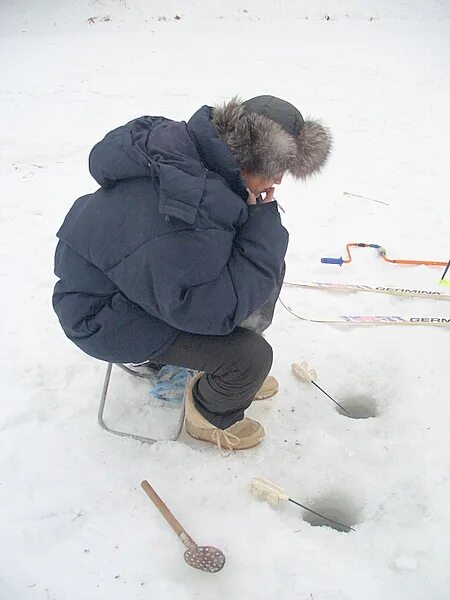 Зимняя методика. Зимний маршрутный учет птиц. Зимний маршрутный учет охотничьих животных. Учета животных по следам. Зимний учёт диких животных.