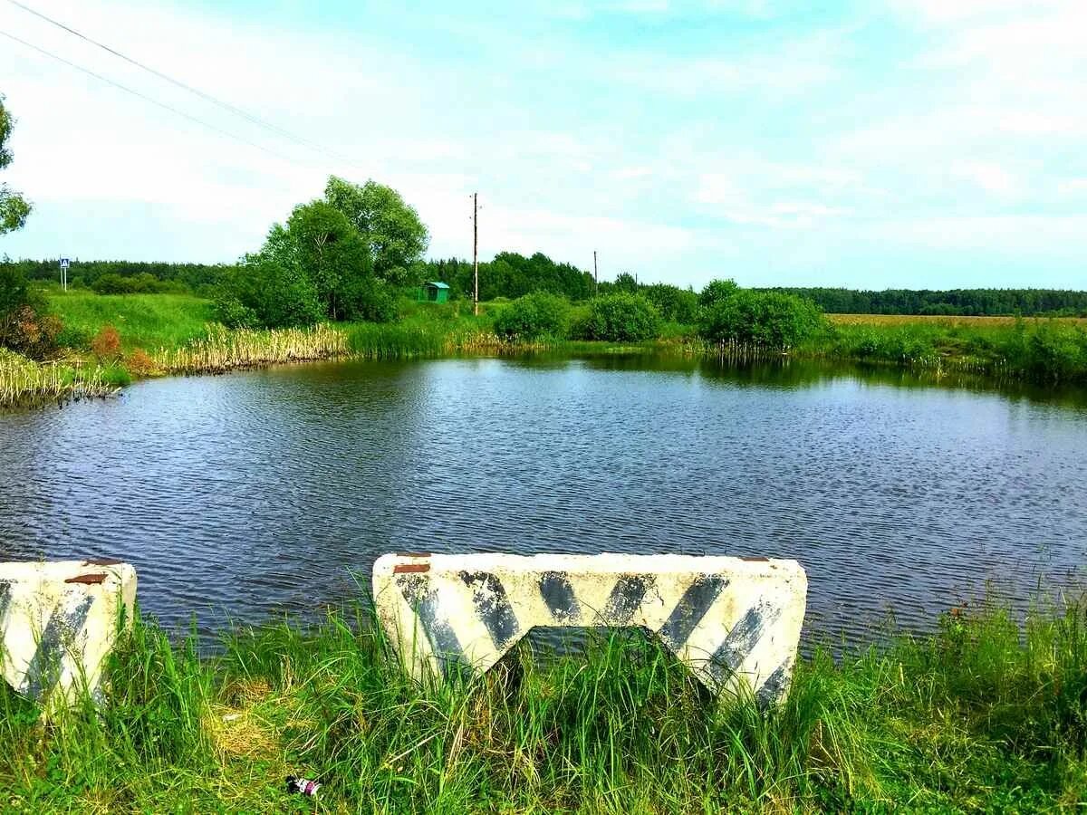 Подъезжать к водоему