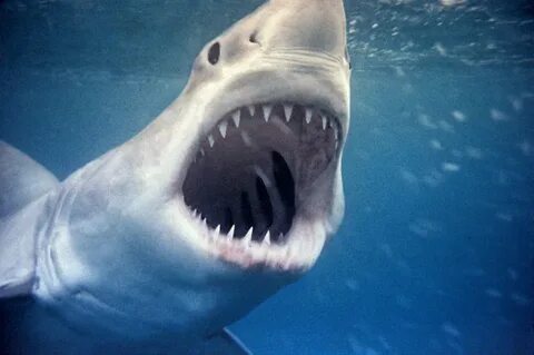 Bit scary