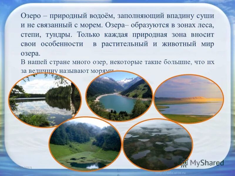 Рассказать о водоеме. Доклад на тему водоемы. Водоемы окружающий мир. Природное сообщество озеро. Сообщество озеро 3 класс