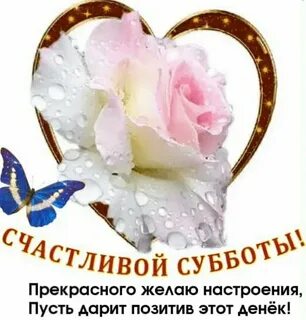 Мир спасибо