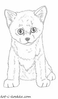 Как нарисовать самого котенка