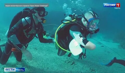 Спортсмен занимающийся дайвингом погрузился в воду 110