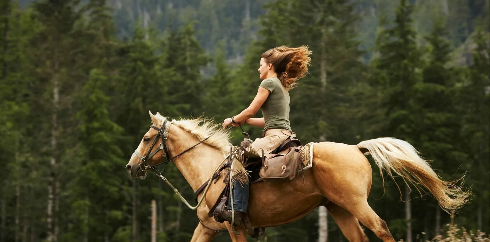 Тряская езда. Верхом на лошади. Скачет на коне. Девушка верхом на лошади. Человек на лошади в горах.