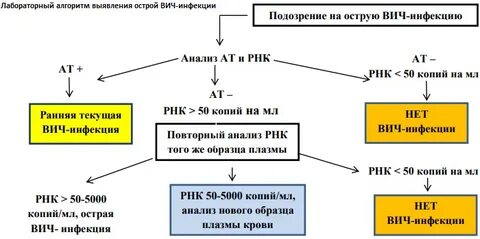 Алгоритм лаборатория
