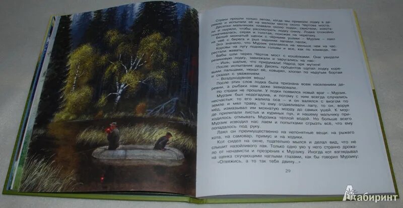 Сравнение в рассказе еловые шишки. К Паустовский корзина с еловыми шишками дремучий медведь. Корзина с еловыми шишками иллюстрации. Иллюстрации к книге Паустовского корзина с еловыми шишками. Корзина с еловыми шишками описание белых ночей.