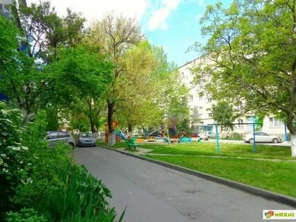 Шевченко 237