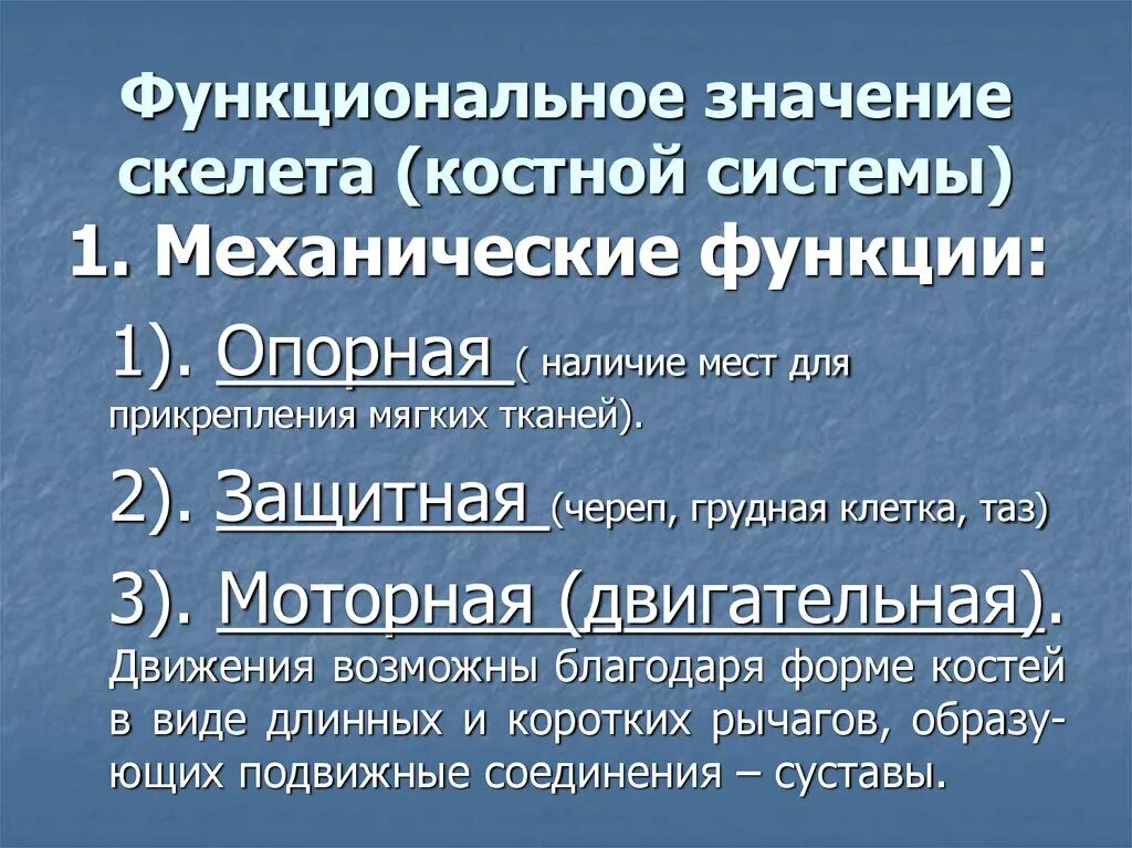 1 функция костной системы. Значение костной системы в организме. функциональное значение скелета. механические функции костной системы.. биологическое значение костной системы.