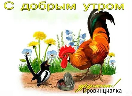 День петушка