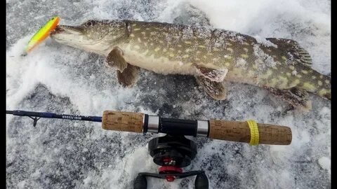 Рыбалка щука окунь видео