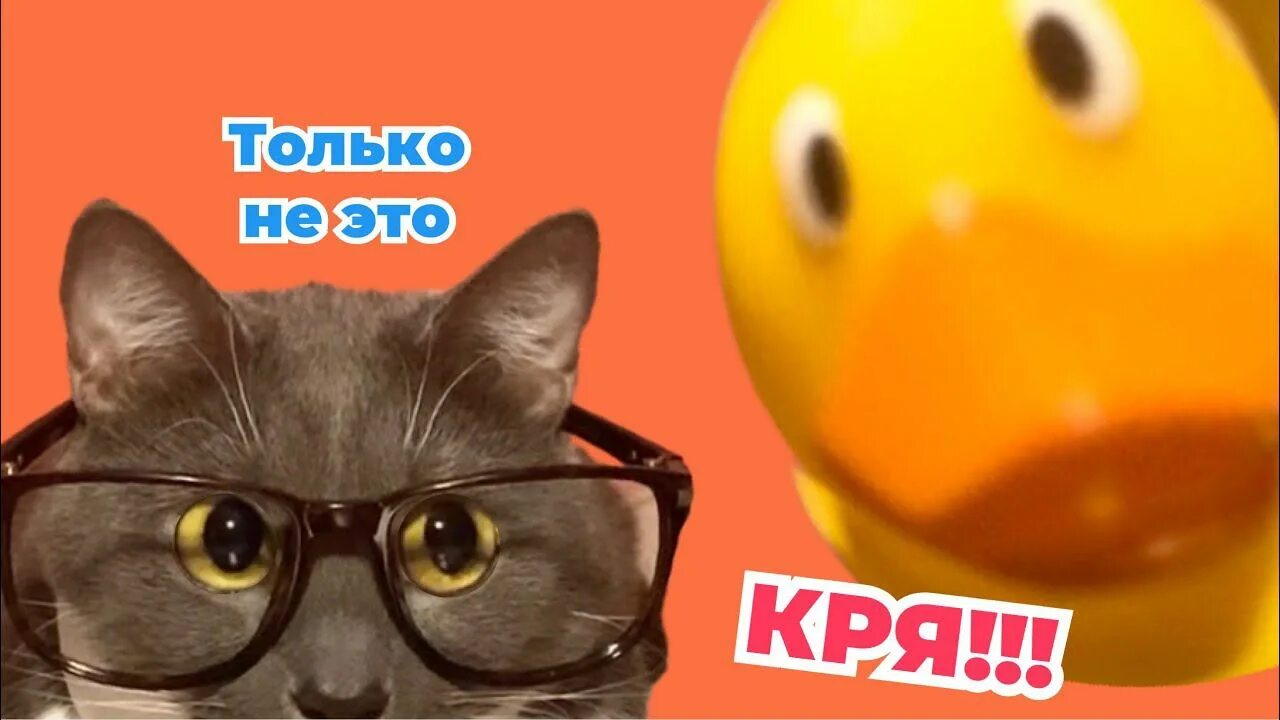 ЕСЛИ БЫ КОТИКИ ХОДИЛИ В ШКОЛУ - ЧТО ВАМ БОЛЬШЕ ВСЕГО НРАВИТСЯ В ШКОЛЕ? - YouTube