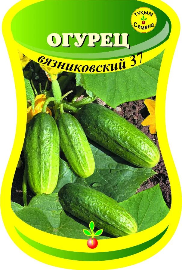 Огурцы Луховицкие - особенности сорта, правила выращивания