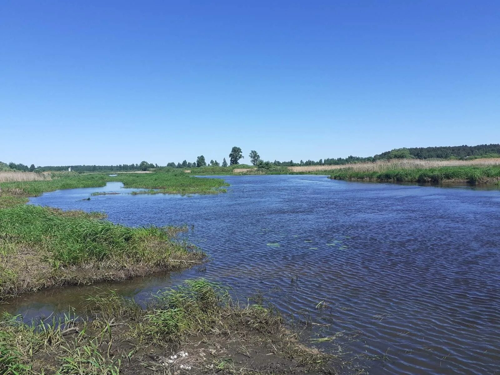 Савино вода. Река Уводь. Река Уводь Ивановская область. Река Уводь Савинский район. Притоки реки Уводь.