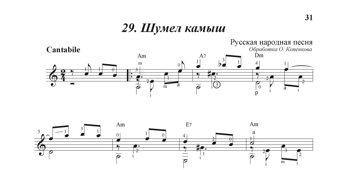 Гудим музыка. Шумел камыш Ноты для баяна. Шумел камыш Ноты для гитары. Копенков Ноты для гитары.