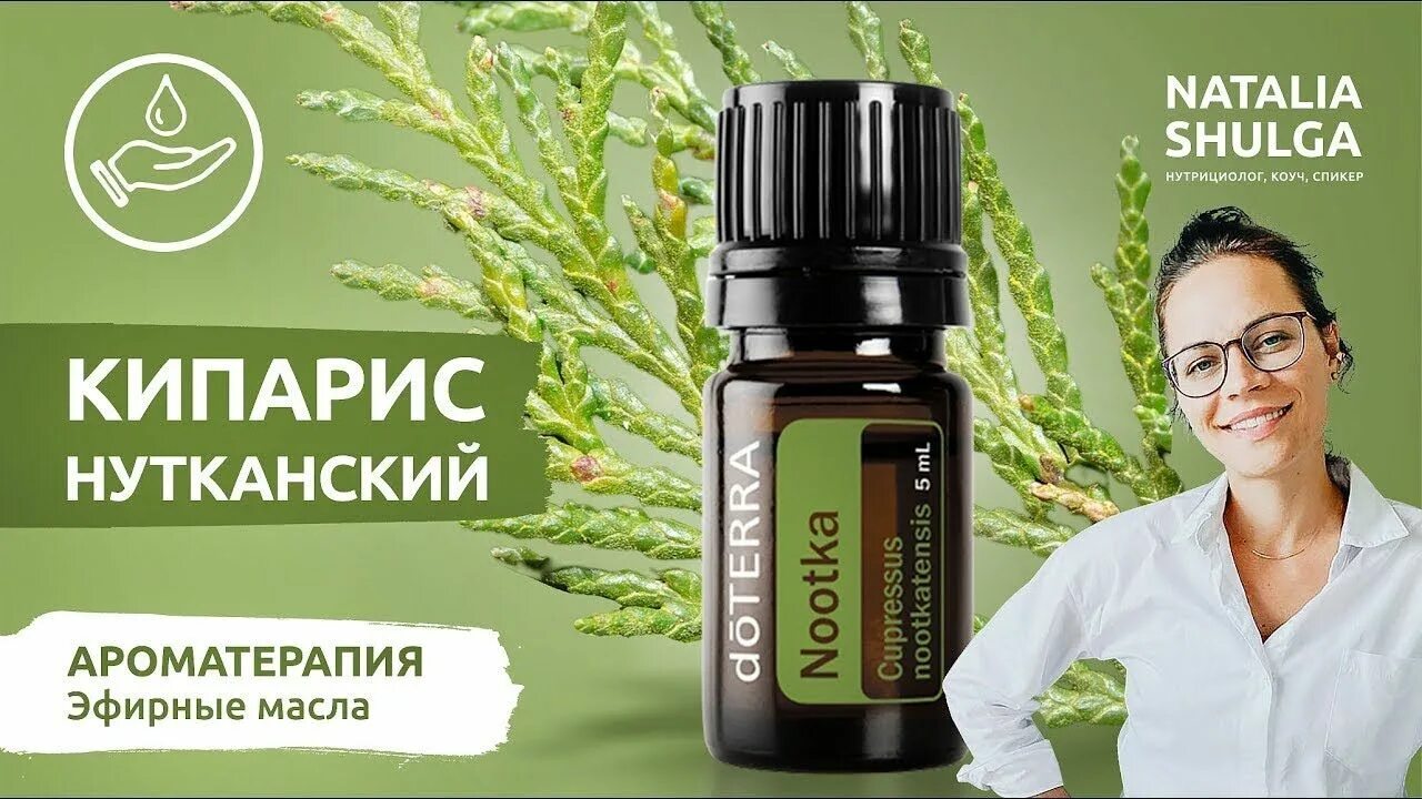 Экстракт кипариса. Масло кипариса дотерра. Экстракт кипариса. Масло кипариса дотерра. Масло кипариса свойства.