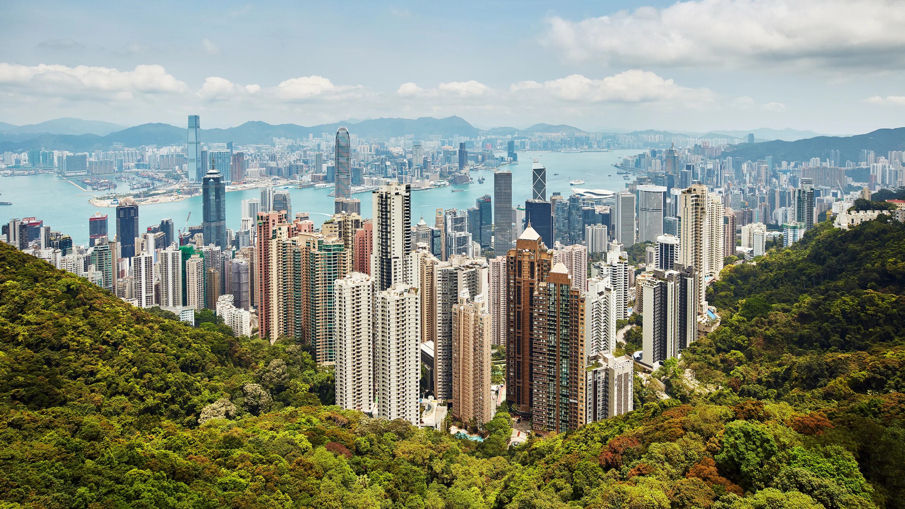 Cos hong kong